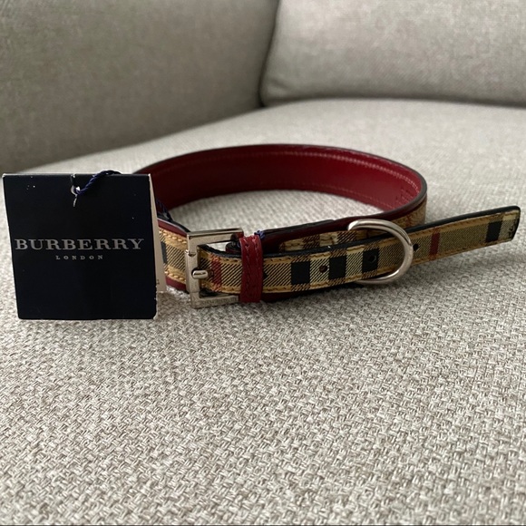 burberry dog collar authentic